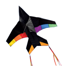 Jet Plane Rainbow Kite by Into the Wind